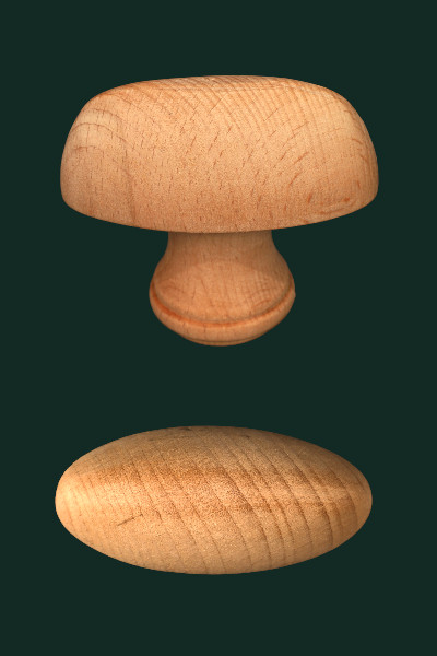 Deurkruk ei model beuken